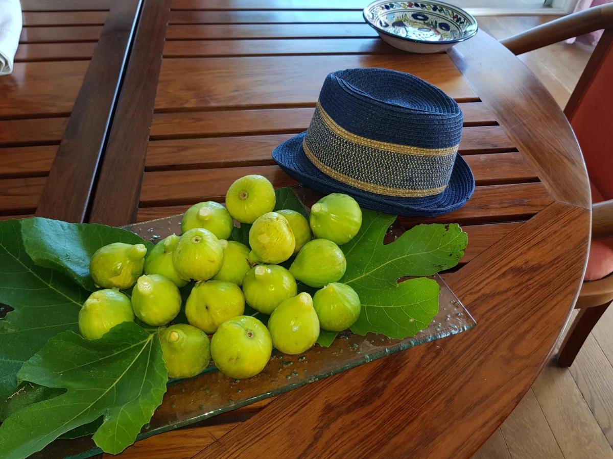 סארי סולנזארה Gite L'Appart De Case Vanille מראה חיצוני תמונה